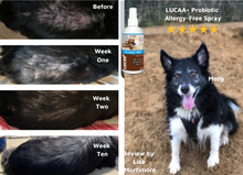 Load image into Gallery viewer, Probiotic Allergen-Free 300ml Spray