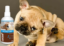 Load image into Gallery viewer, Probiotic Allergen-Free 300ml Spray