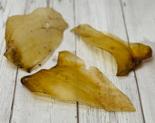 Load image into Gallery viewer, PL Buffalo Ear
