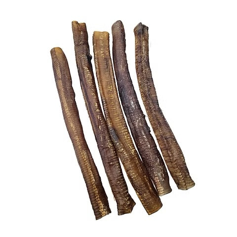 K9 Ostrich Trachea