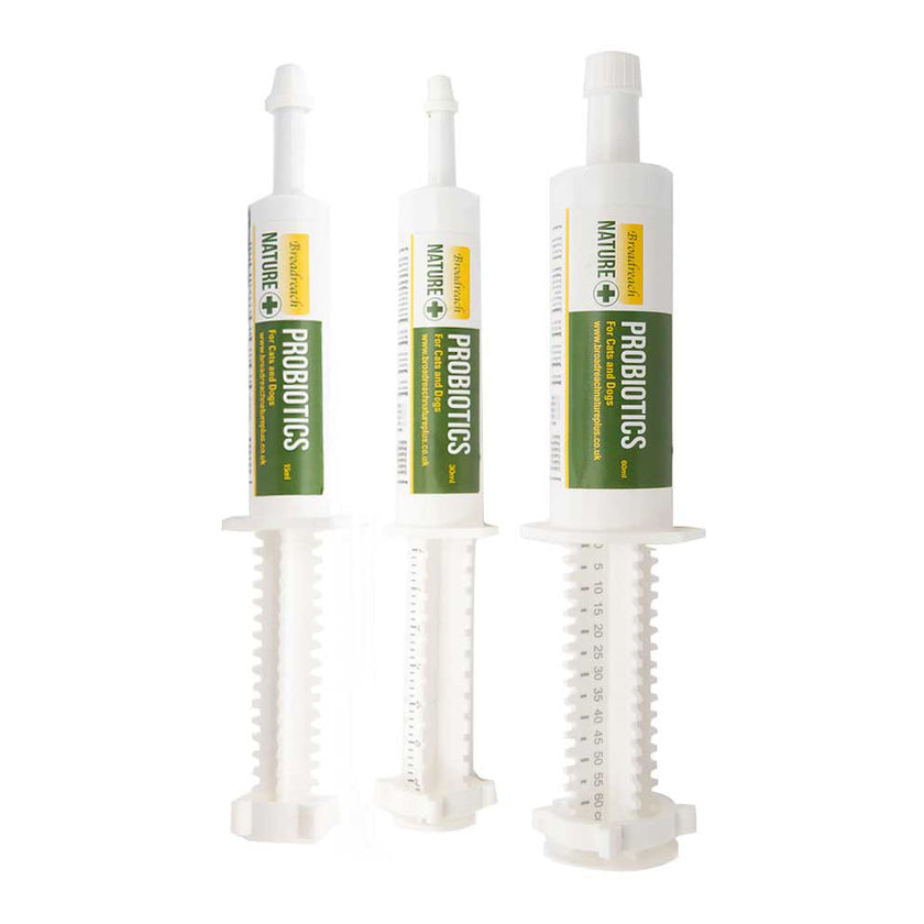 BR Probiotic Syringe 15ml