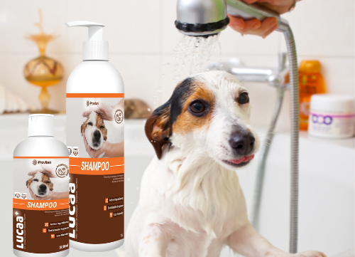 Probiotic Pet Shampoo 300ml